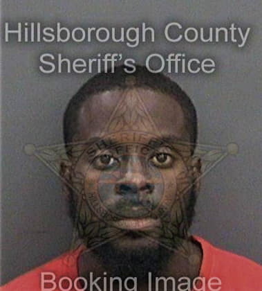 Daryl Robinson - Hillsborough County, FL 