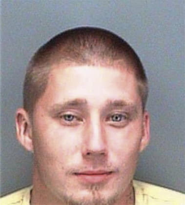 Nathaniel Snyder - Pinellas County, FL 