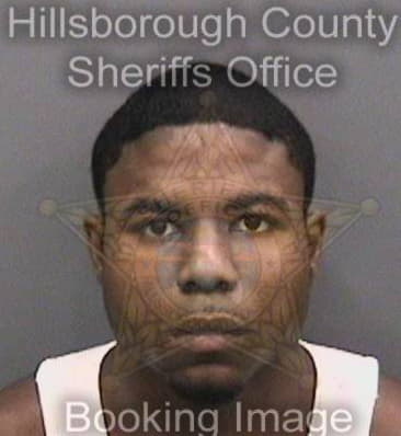 Robert McCallum - Hillsborough County, FL 