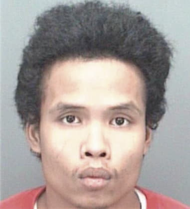 Hai Nguyen, - Pinellas County, FL 