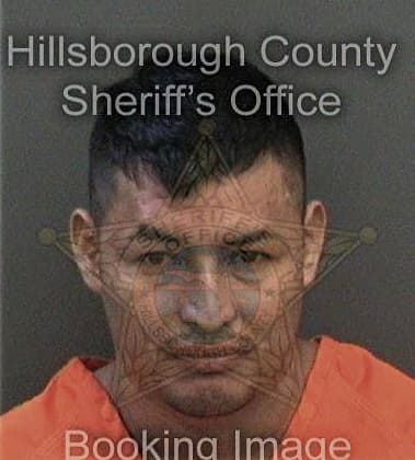 Larry Rippy, - Hillsborough County, FL 