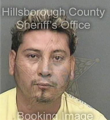 Pavel Ferrercorrales, - Hillsborough County, FL 