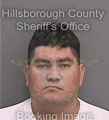 Steven Kaufman, - Hillsborough County, FL 