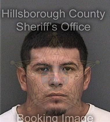 Mauricio Loaiza-Burgos, - Hillsborough County, FL 