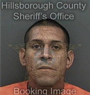 Dennis Mendelsohn - Hillsborough County, FL 