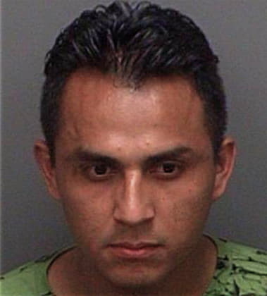 Jersain Penalozabenitez, - Pinellas County, FL 