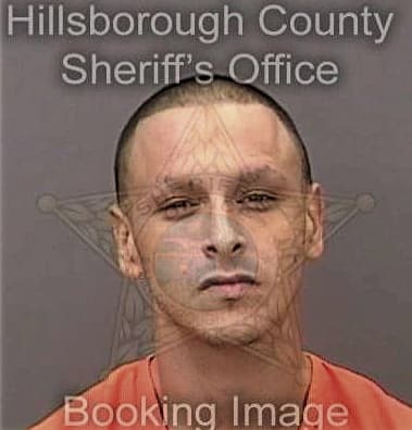 Sean Cassese, - Hillsborough County, FL 