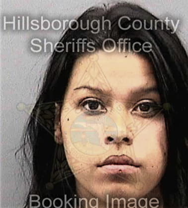 Paula Decicco, - Hillsborough County, FL 