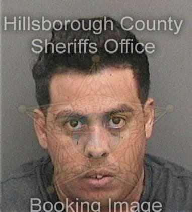 Manuel Fernandez, - Hillsborough County, FL 