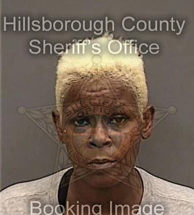 Yasmeen Hayes, - Hillsborough County, FL 