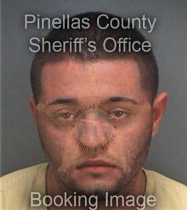 Anthony Lopez, - Pinellas County, FL 