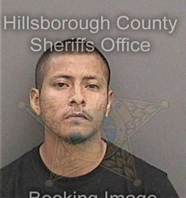 Dylan Lowe, - Hillsborough County, FL 