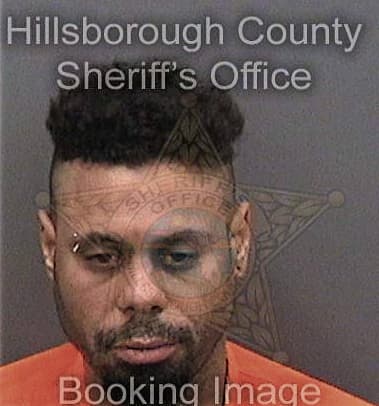 Hector Torres, - Hillsborough County, FL 