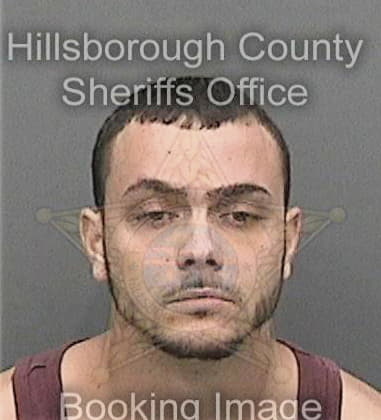 Mohamad Aleid, - Hillsborough County, FL 