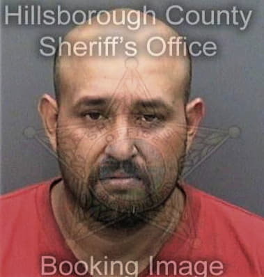 George Arbagy, - Hillsborough County, FL 