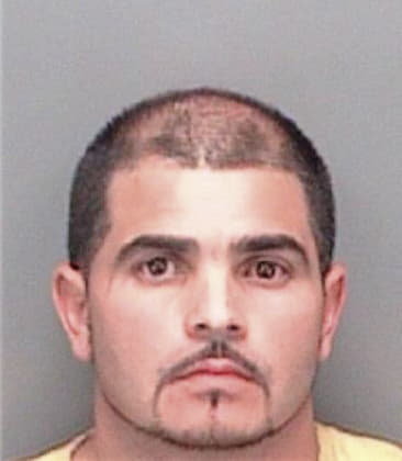 Eder Cruzhernandez, - Pinellas County, FL 