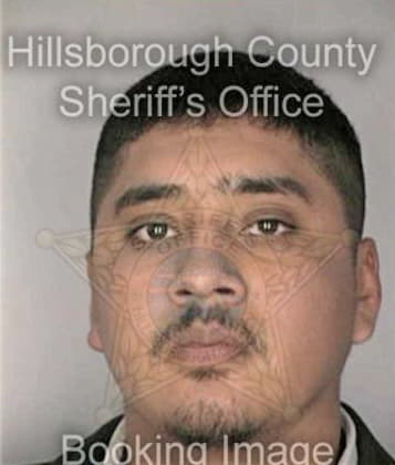 Byron Delacruzgarcia, - Hillsborough County, FL 