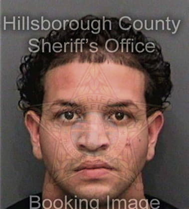 Justin Mercurio - Hillsborough County, FL 