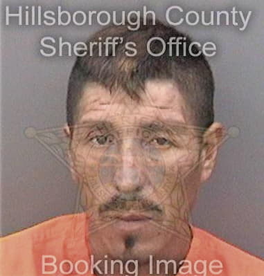 Neil Meulen - Hillsborough County, FL 