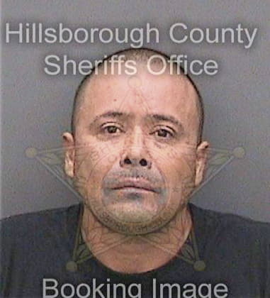 David Musson, - Hillsborough County, FL 