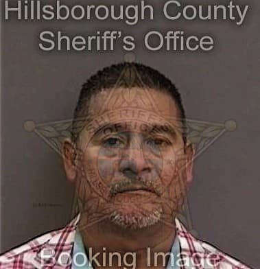 Waldimir Pereva-Amabiles, - Hillsborough County, FL 