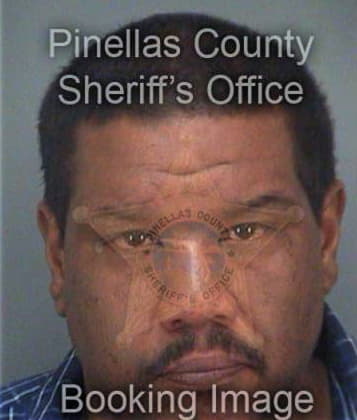 Karl Verdejorivera, - Pinellas County, FL 