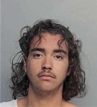 Kevin Zelaya-Giron, - Dade County, FL 