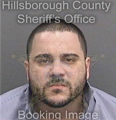 William Fitzgerald, - Hillsborough County, FL 