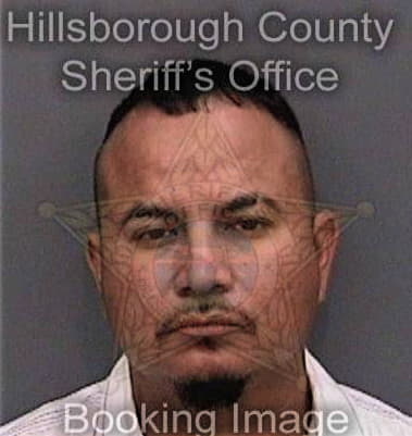 Hanry Hernandez - Hillsborough County, FL 