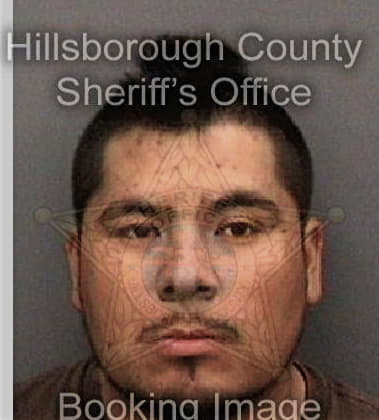 Russell Mentzer - Hillsborough County, FL 