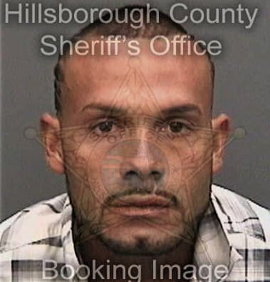 Donald White - Hillsborough County, FL 