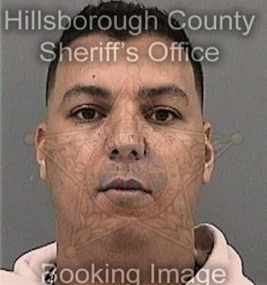 Michael Buscemi, - Hillsborough County, FL 