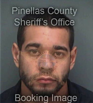 John Garro, - Pinellas County, FL 