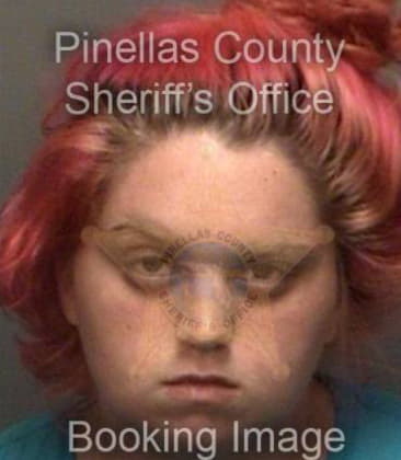 Shannon McCarthy - Pinellas County, FL 