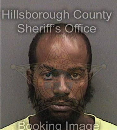 Jibril Needham, - Hillsborough County, FL 