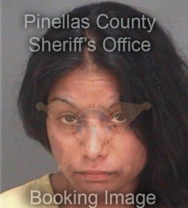 Sonja Araico, - Pinellas County, FL 