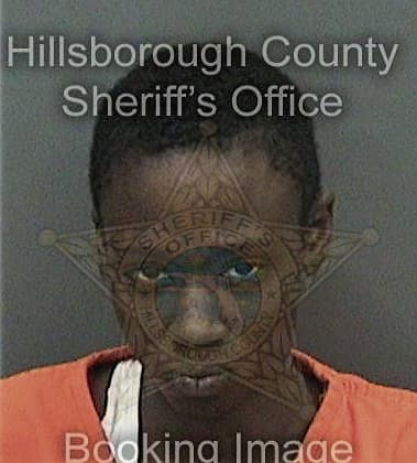 Paola Bravo - Hillsborough County, FL 
