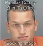 Cesar Castillorodriguez, - Pinellas County, FL 