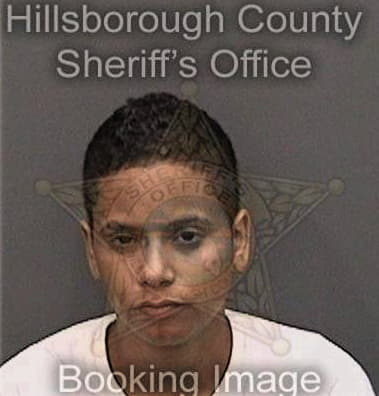 Irisnery Felicianopereira, - Hillsborough County, FL 