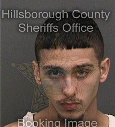 Curtis McHenry - Hillsborough County, FL 
