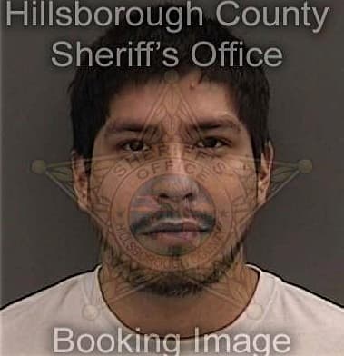 Alexander Pellegrino, - Hillsborough County, FL 