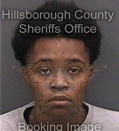 Ikeya Pinkney, - Hillsborough County, FL 