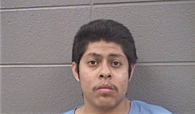 Pedro Torres, - Cook County, IL 