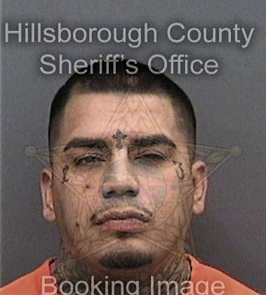 Michael Underwood, - Hillsborough County, FL 