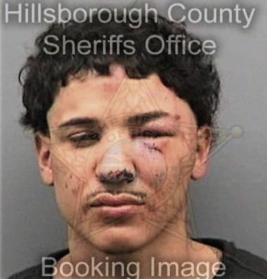 Nicholas Cerniglio, - Hillsborough County, FL 