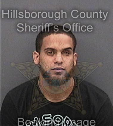 Michael Chandler, - Hillsborough County, FL 