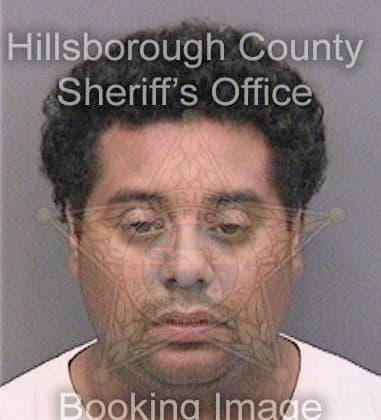 James Hollub, - Hillsborough County, FL 