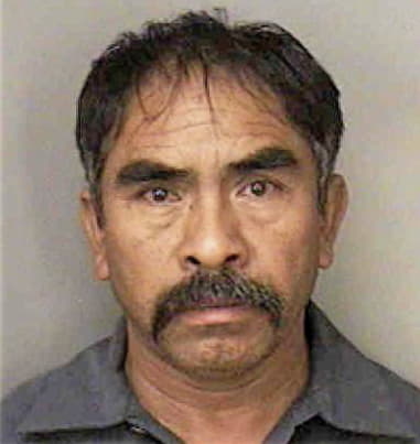 Manuel Salinas, - Polk County, FL 