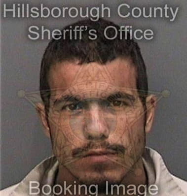 Martin Capulaangeles, - Hillsborough County, FL 