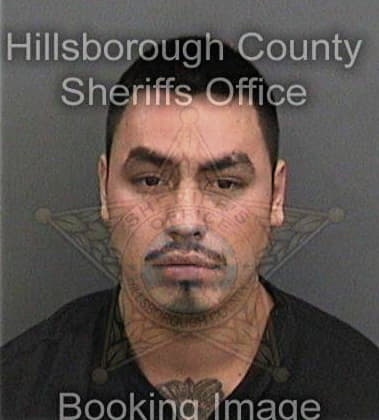 Raul Gambemata, - Hillsborough County, FL 